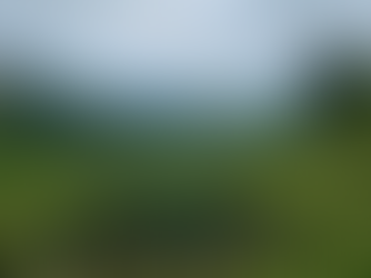 Ultimate Cameron Highlands Hiking Guide for Adventure Seekers