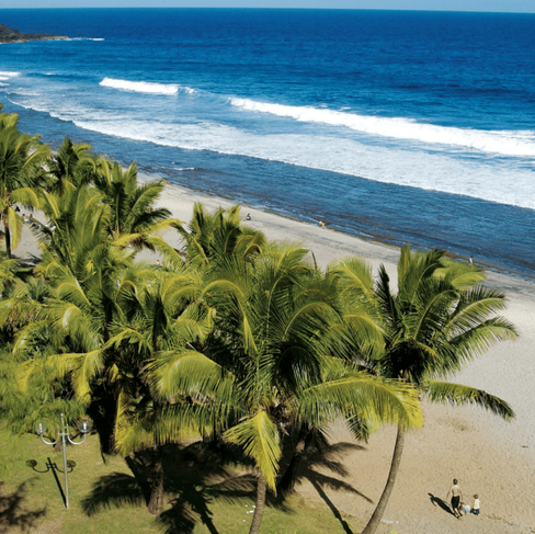Aerial view of a tropical beach with palm trees and the ocean