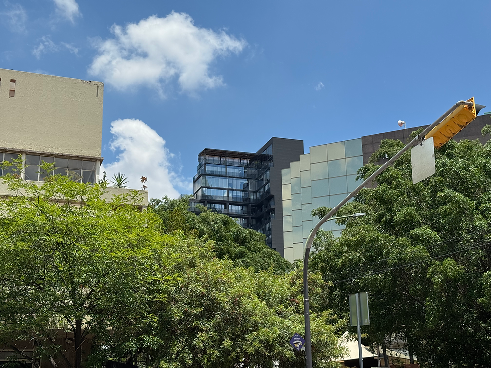 Vista interior de la torre NOUS en Guadalajara, con oficinas privadas, diseño moderno y amenidades exclusivas para sus miembros.