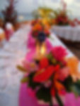 Hot Tropical Colour Scheme