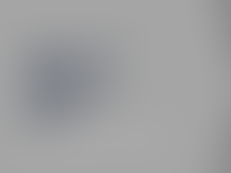 Parecer de análise técnica da empresa (PATE)