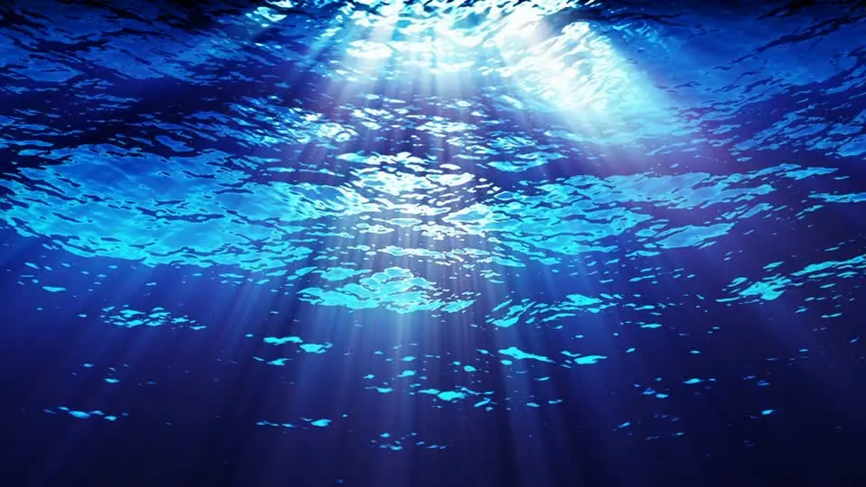 Biodanza Acquatica e Massaggio a Montegrotto Terme