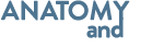 AandY_test_header.png
