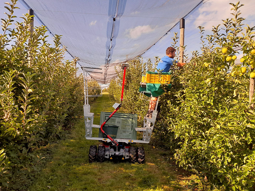 Frucotec Erntebühne