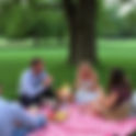 🧺🇫🇷 ~ Summer Picnics "à la bonne franquette!"