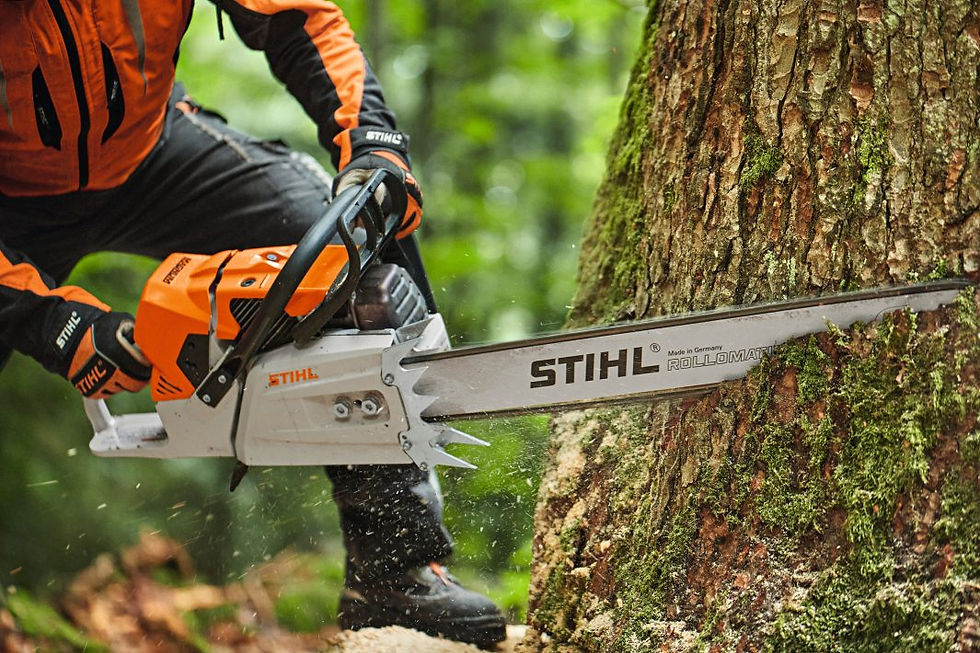 Thumbnail: STIHL- MS 881 R gas chainsaw