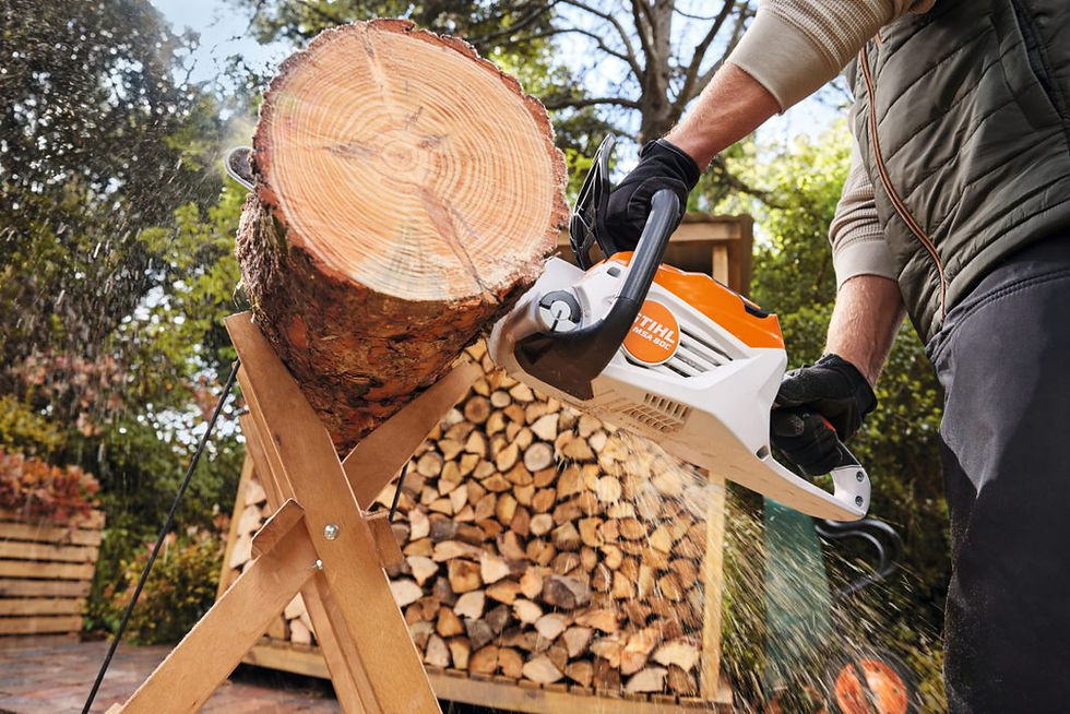 Thumbnail: STIHL- MSA 80 C-B Battery Chainsaw (Set) - AK SYSTEM