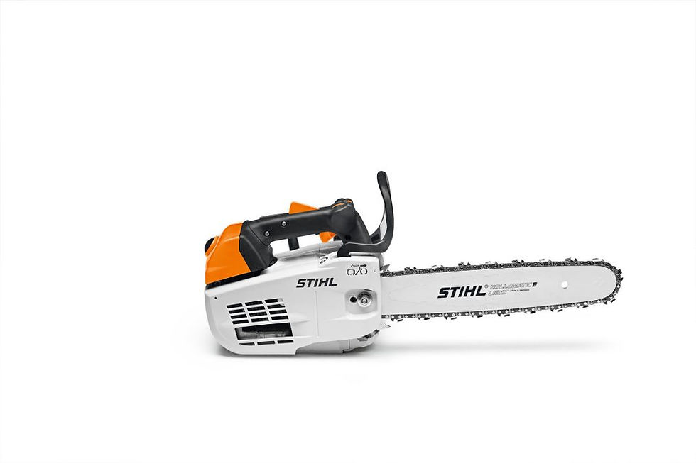 MS 201 TC-M gas chainsaw