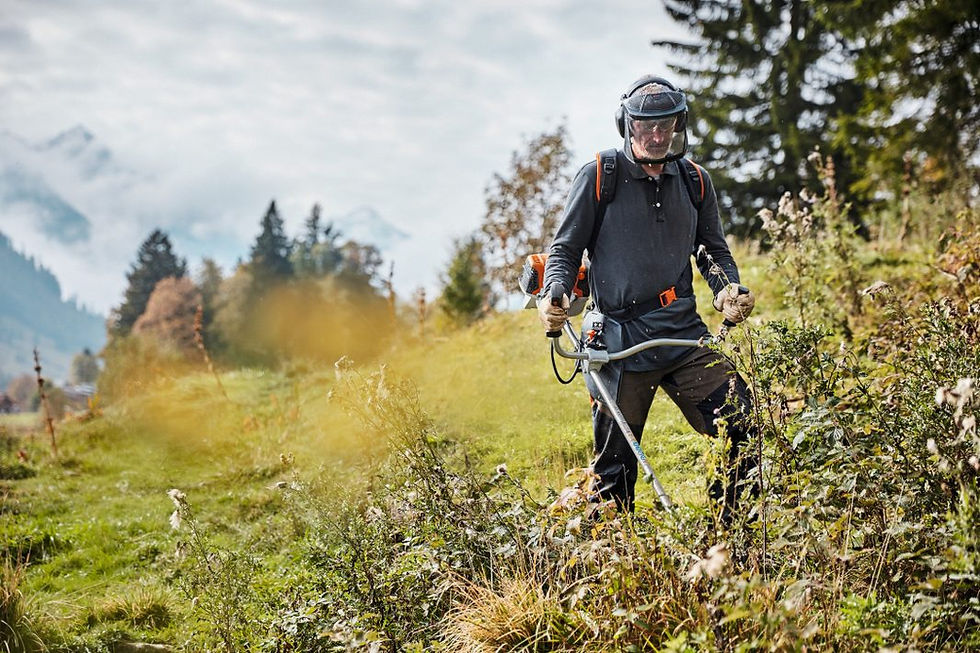 Thumbnail: STIHL- FS 131 Gas Brushcutter