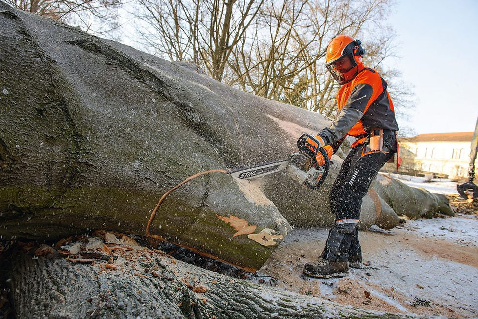 Thumbnail: STIHL- MS 661 C-M gas chainsaw