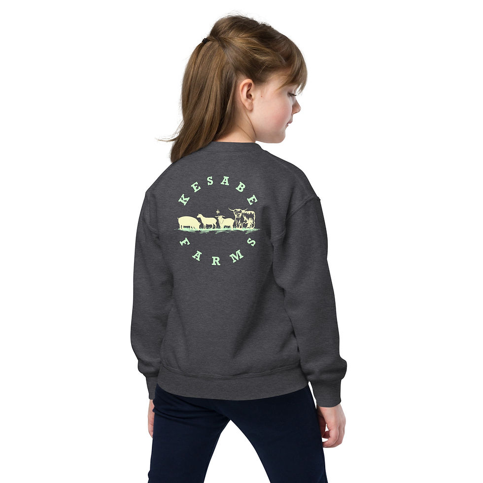 Thumbnail: Highland Artist Youth crewneck sweatshirt