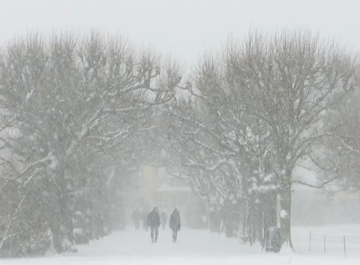 Winter Storm