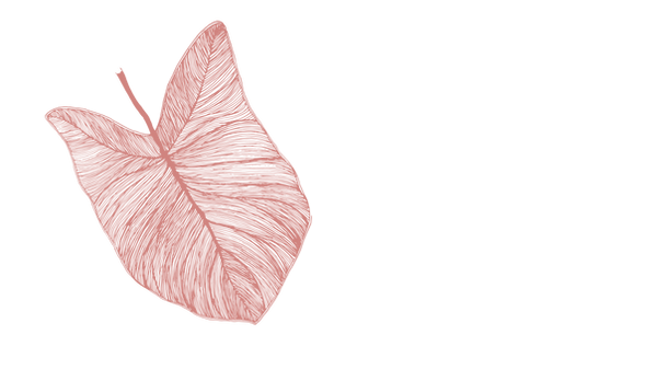Prancheta_1_cópia_14.png