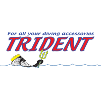 tridentvector_1631045988__76456.webp