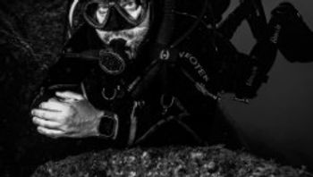 Hollis Neotek 20% Off