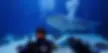 journey-with-gentle-giants-dive-6-1536x753.webp