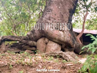 El Fruto Prohibido