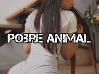 Pobre Animal