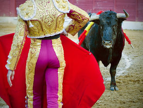 Reculan: Juez federal niega amparo para corrida de toros