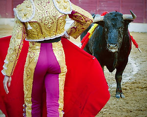 Spanish bullfight
