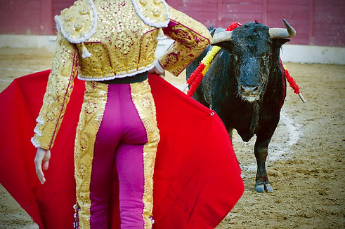 Spanish bullfight