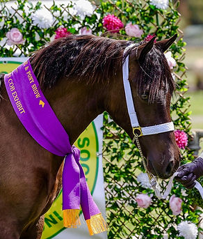 Genesis Park_2of3.jpg