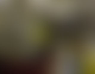 My Aisles Cultural Adjustment Continues