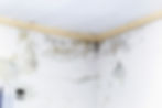 water-damaged-drywall-mold-repair