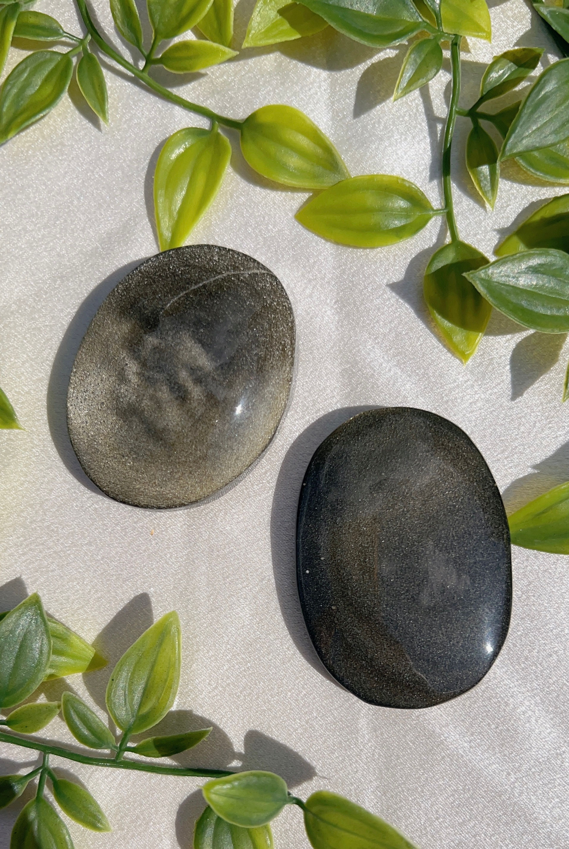 Sheer Obsidian Palms 