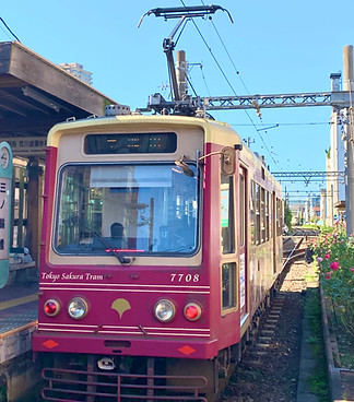 東京さくらトラム