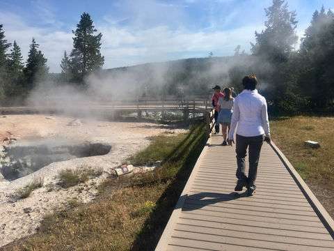 Yellowstone National Park / July, 2017