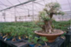 image2 (4).jpeg