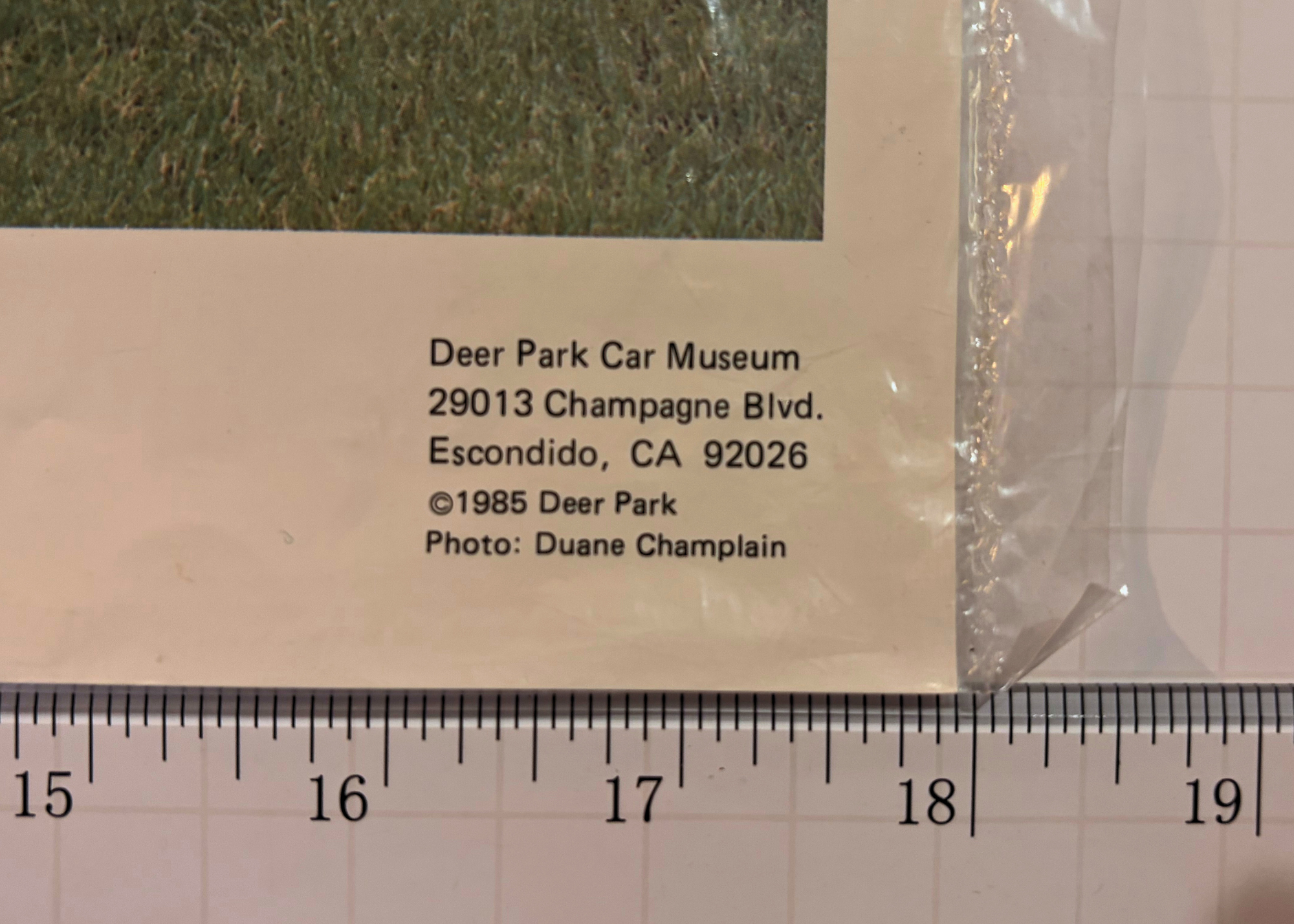 Vintage 1985 Deer Park Car Museum 1956 Corvette Print - 13 H x 18 W inches