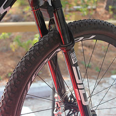 Fork Demo Day Picture