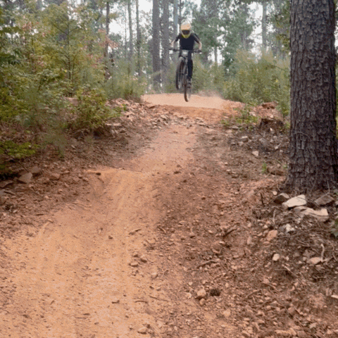 Untitled design (3).gif