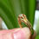 Thumbnail: Antique mens jewelry