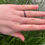 Thumbnail: Art Deco ruby eternity band