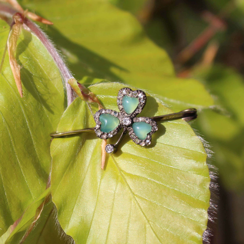 Georgian Diamond Shamrock Brooch Shropshire