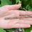 Thumbnail: Victorian Gold Propelling Pen Pencil