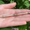 Thumbnail: Victorian Gold Sliding Pencil
