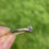 Thumbnail: Art Deco Diamond Toi et Moi Ring