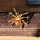 Thumbnail: Enamel Gold Spider Brooch