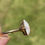 Thumbnail: Vintage Opal Ring