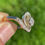Thumbnail: Edwardian Diamond Swirl Ring