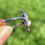 Thumbnail: Diamond Marquise Ring Shropshire Jewellers