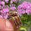 Thumbnail: Antique Snake Ring Shrewsbury Jewellers
