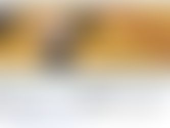 【お知らせ】ボッチャ体験会(12月定例会)