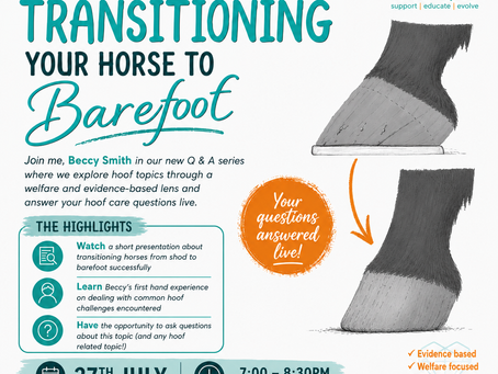 transitioning your horse to barefoot