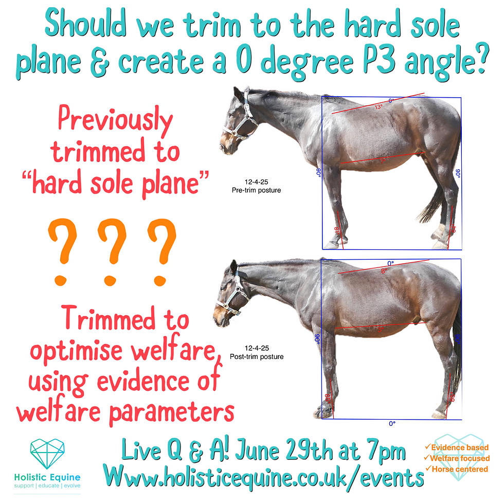 Integrative Hoof Care Q & A #1 - should we trim to the "hard sole plane" and create a 0 degree P3 angle?