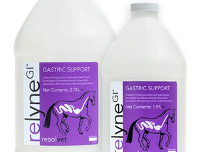 Relyne GI and how it might support your horses digestive tract (and joint) health!